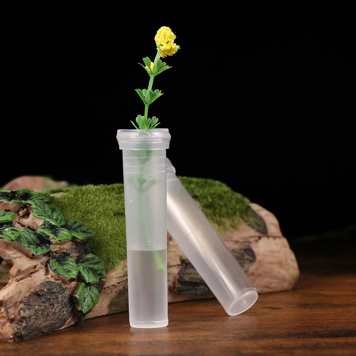 Nutrition & Fitness Class - 50Pcs Premium Plastic Flower Nutrition Tubes