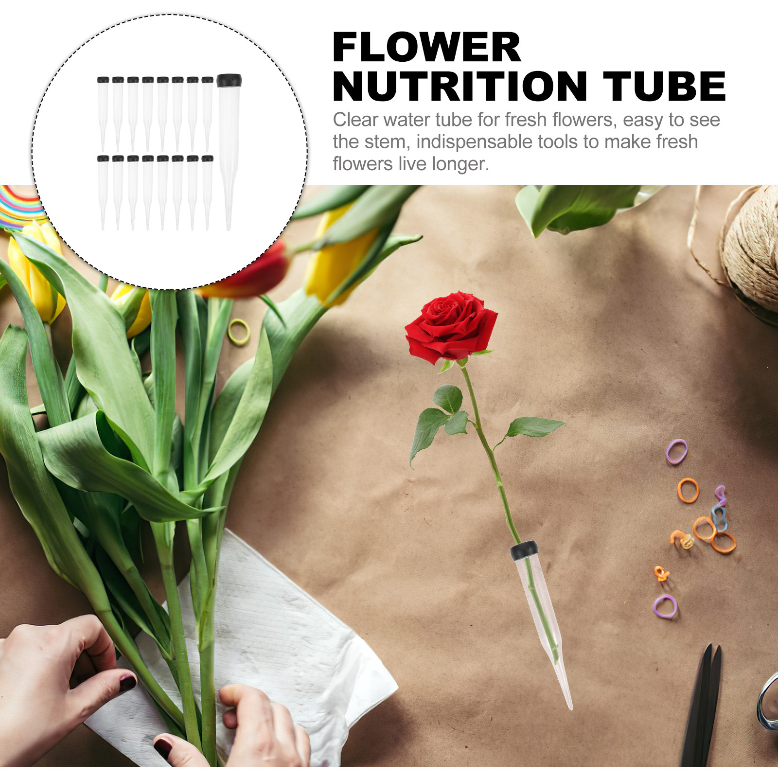 50Pcs Fresh Flower Nutrition T - Nutrition & Fitness Class ulasan dan harga