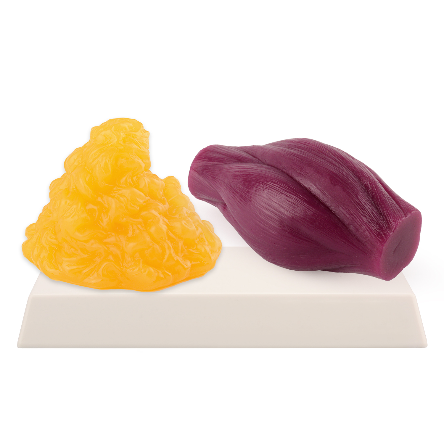 1lb Fat Replica & Muscle to Ke - Nutrition And Fitness ulasan dan harga