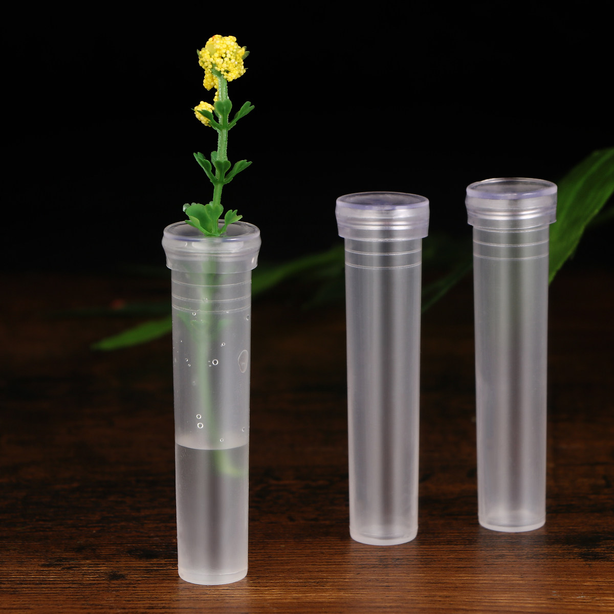 50Pcs Nutrition Flower Tubes P - Nutrition & Fitness Class ulasan dan harga