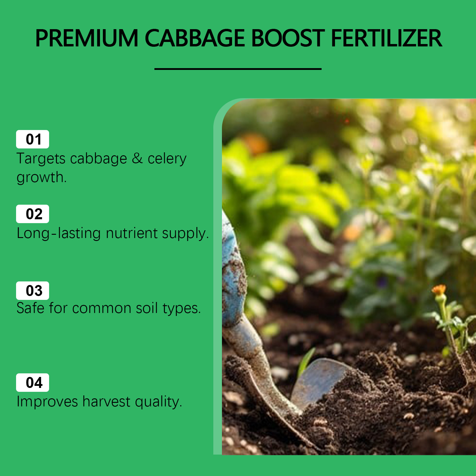 Indoor Outdoor Vegetable Growt - Nutrition & Fitness Class ulasan dan harga