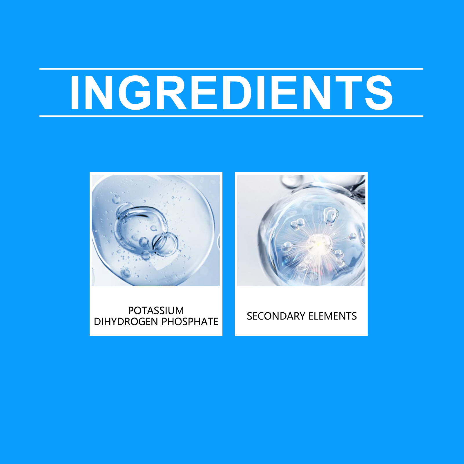 Flower Nutrient Solution Liqui - Nutrition & Fitness Class ulasan dan harga