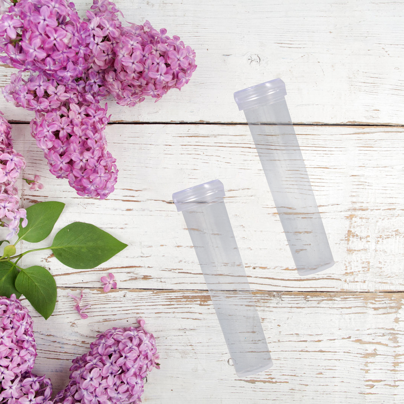 100Pcs Flower Tube Set Transpa - Nutrition & Fitness Class ulasan dan harga
